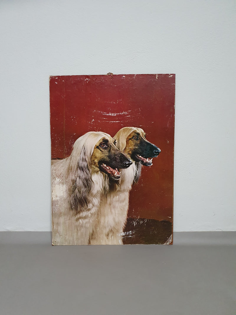 70 x 94 cm Afghan dogs 1970s