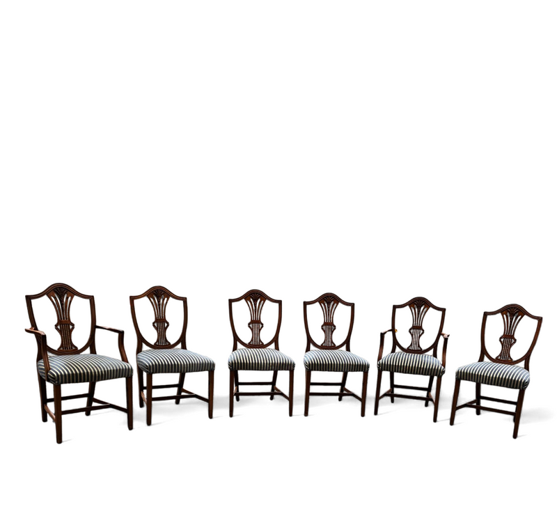 6 x English mahogany Hepplewhite chairs / 1920s