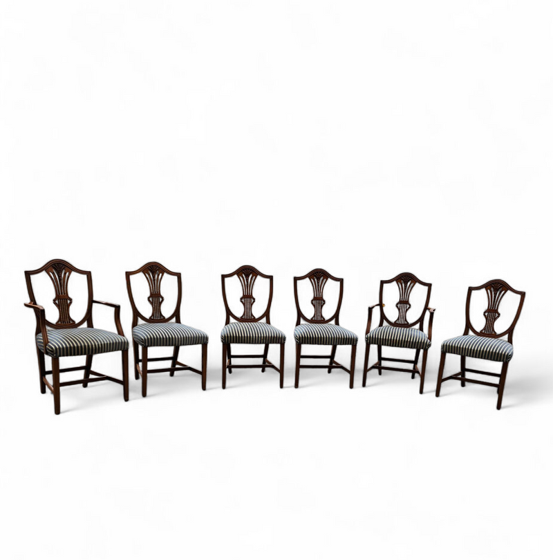 6 x English mahogany Hepplewhite chairs / 1920s