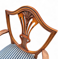 6 x English mahogany Hepplewhite chairs / 1920s