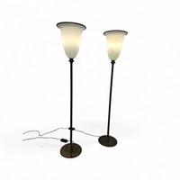 Vintage Primavera Floor Lamps in Murano Glass by Barovier & Toso / 1970s
