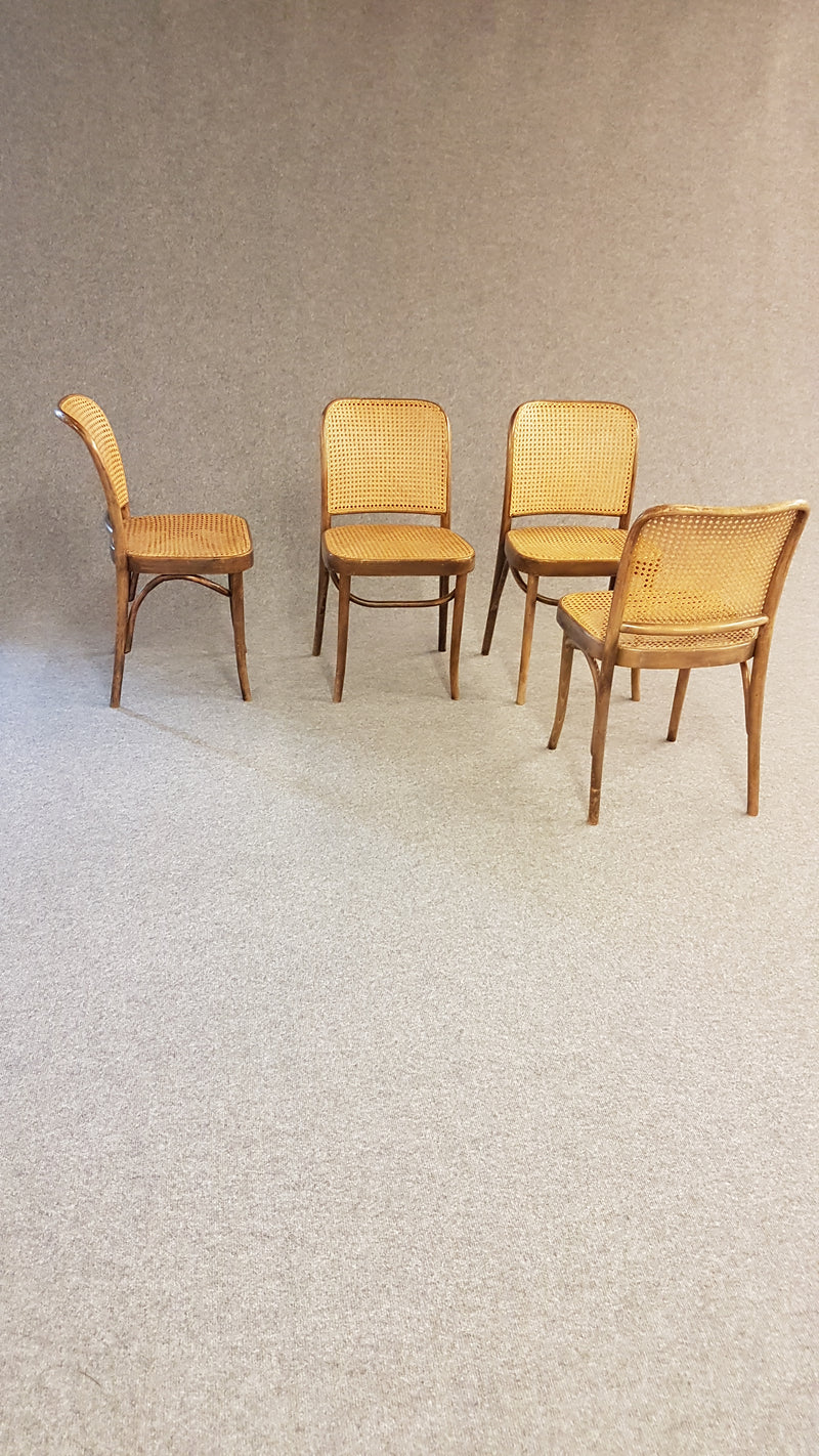 4 x  No. 811 Prague Chair by Josef Hoffman for FMG, 1960s
