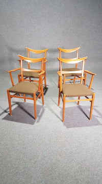 Set of 4 x German / cow horn dining armchairs / Lübke 1950s / Extremely rare /