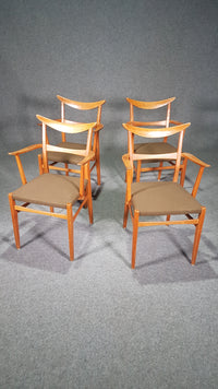 Set of 4 x German / cow horn dining armchairs / Lübke 1950s / Extremely rare /